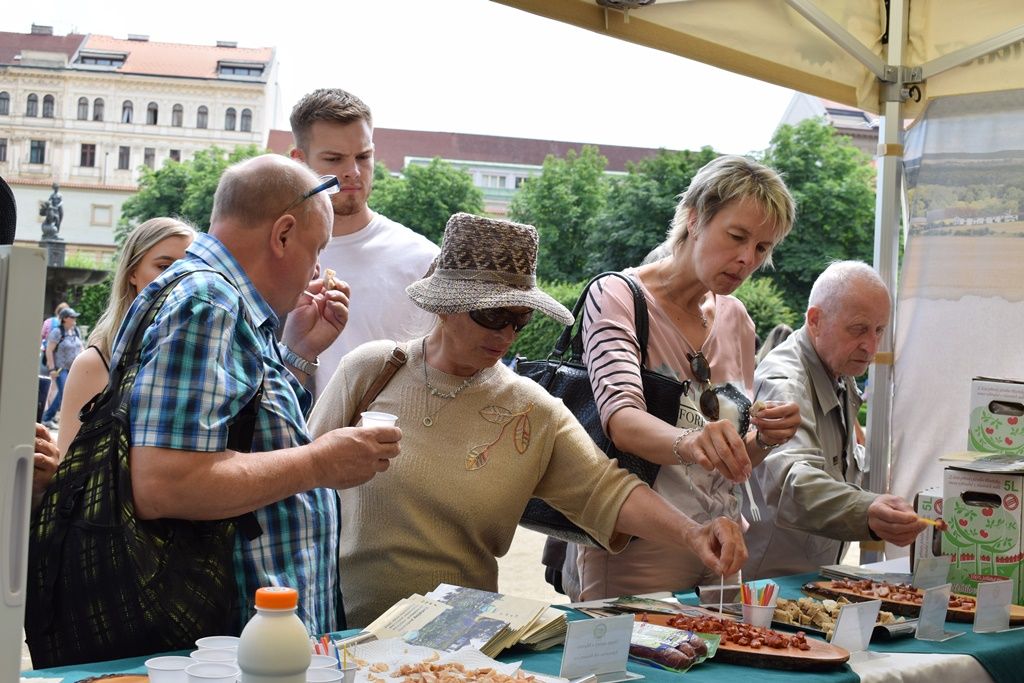 Den Plzně v Senátu 2019 (foto: Z. Kubalová, 22.6.2019)