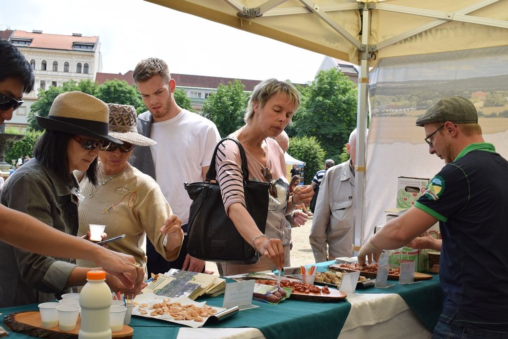Den Plzně v Senátu 2019 (foto: Z. Kubalová, 22.6.2019)