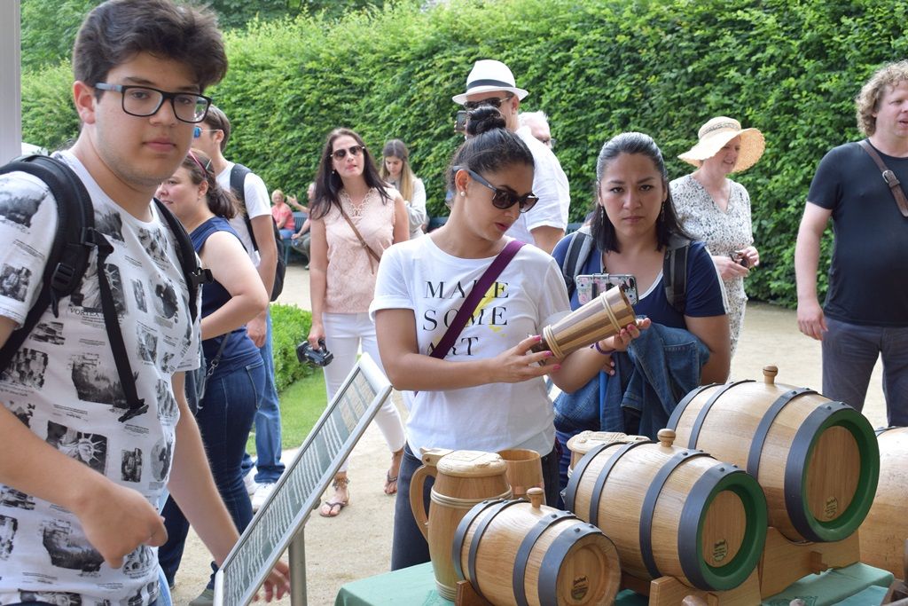 Den Plzně v Senátu 2019 (foto: Z. Kubalová, 22.6.2019)