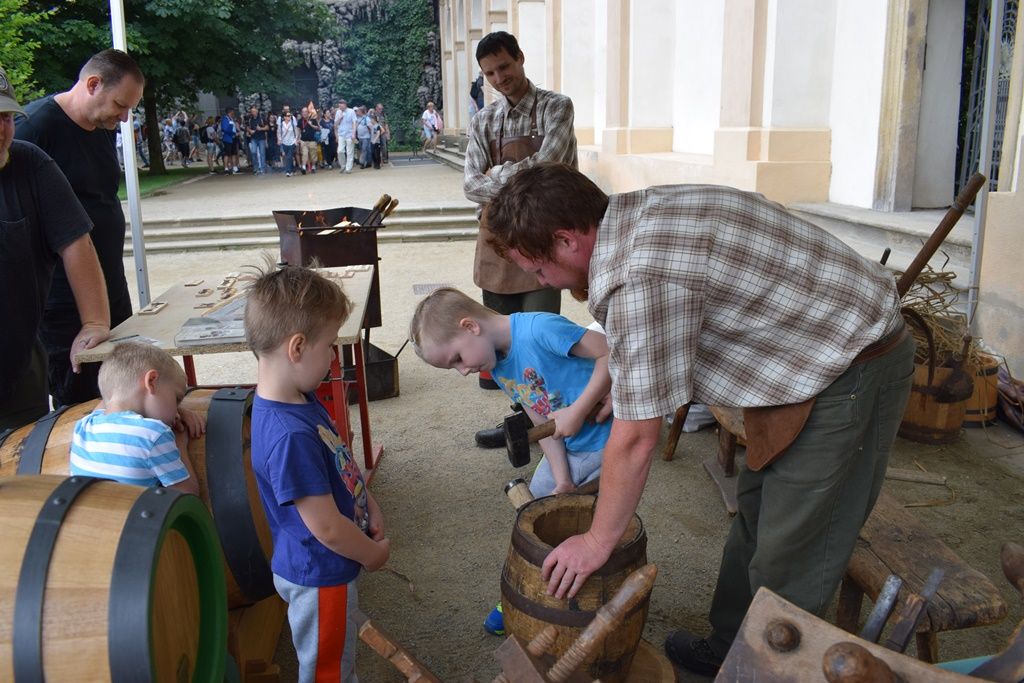 Den Plzně v Senátu 2019 (foto: Z. Kubalová, 22.6.2019)