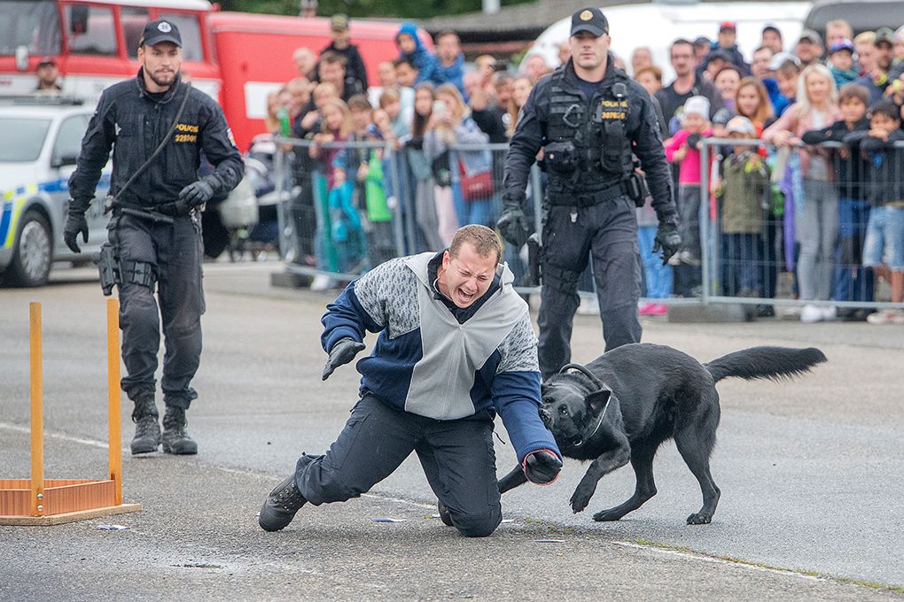 Hrdinové Plzně (foto: M. Chaloupka, 7.9.2019)