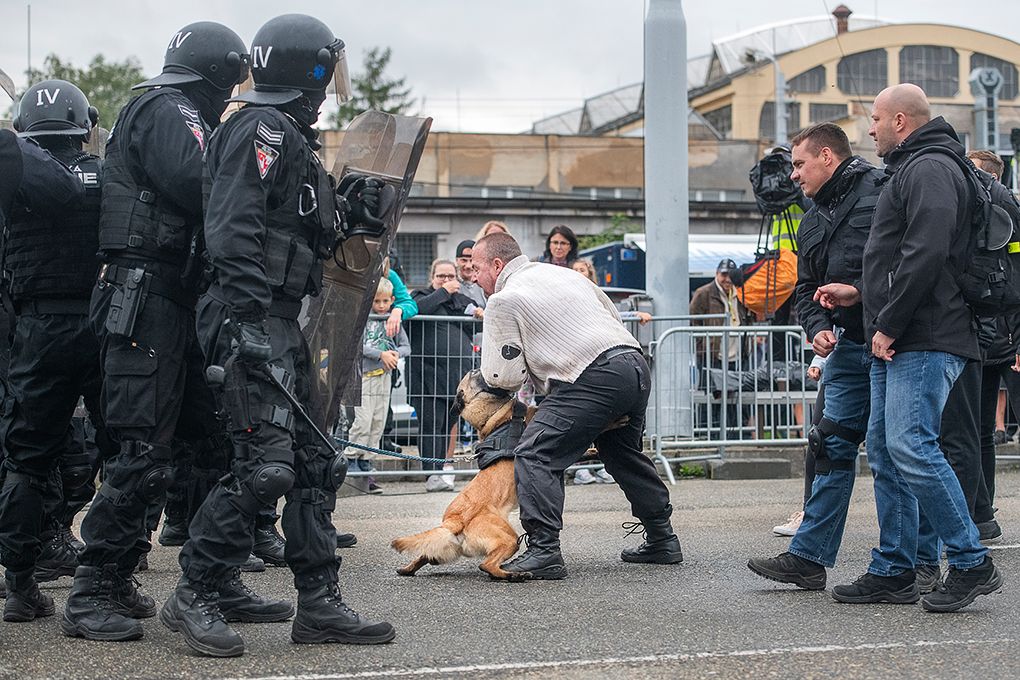 Hrdinové Plzně (foto: M. Chaloupka, 7.9.2019)