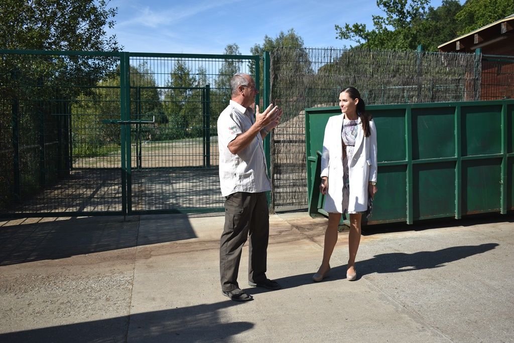 Křtiny velbloudice Aiko z plzeňské zoo(foto: A. Jarošová, 17.9.2019)