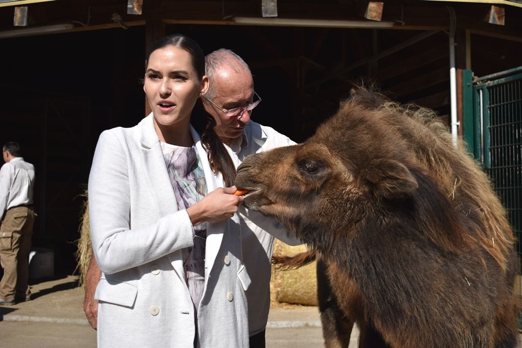 Křtiny velbloudice Aiko z plzeňské zoo(foto: A. Jarošová, 17.9.2019)