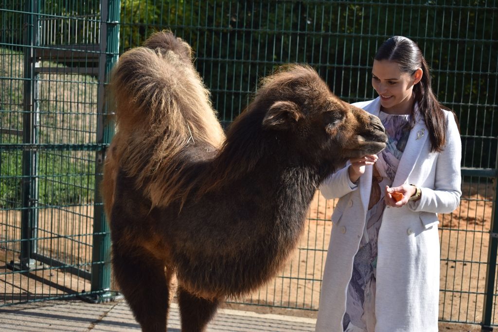 Křtiny velbloudice Aiko