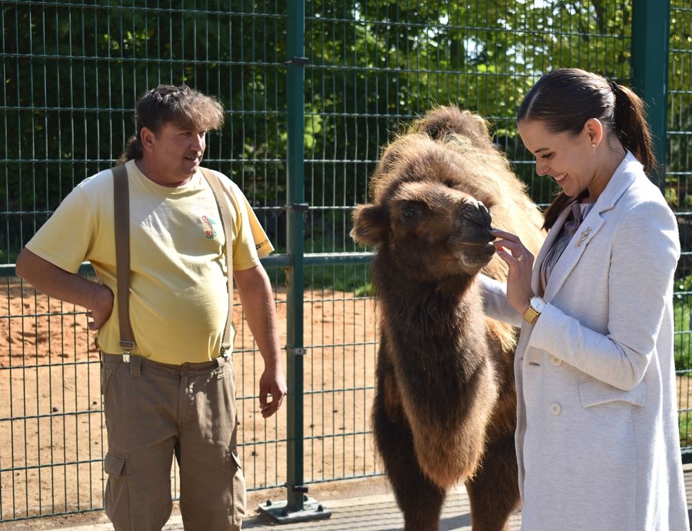 Křtiny velbloudice Aiko z plzeňské zoo(foto: A. Jarošová, 17.9.2019)