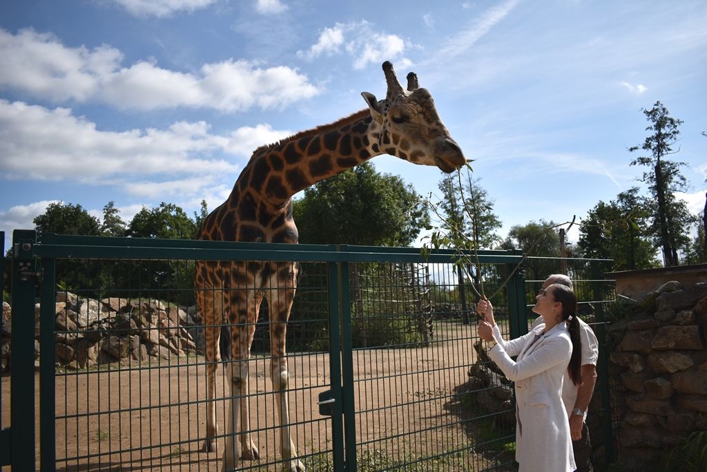 Křtiny velbloudice Aiko z plzeňské zoo(foto: A. Jarošová, 17.9.2019)