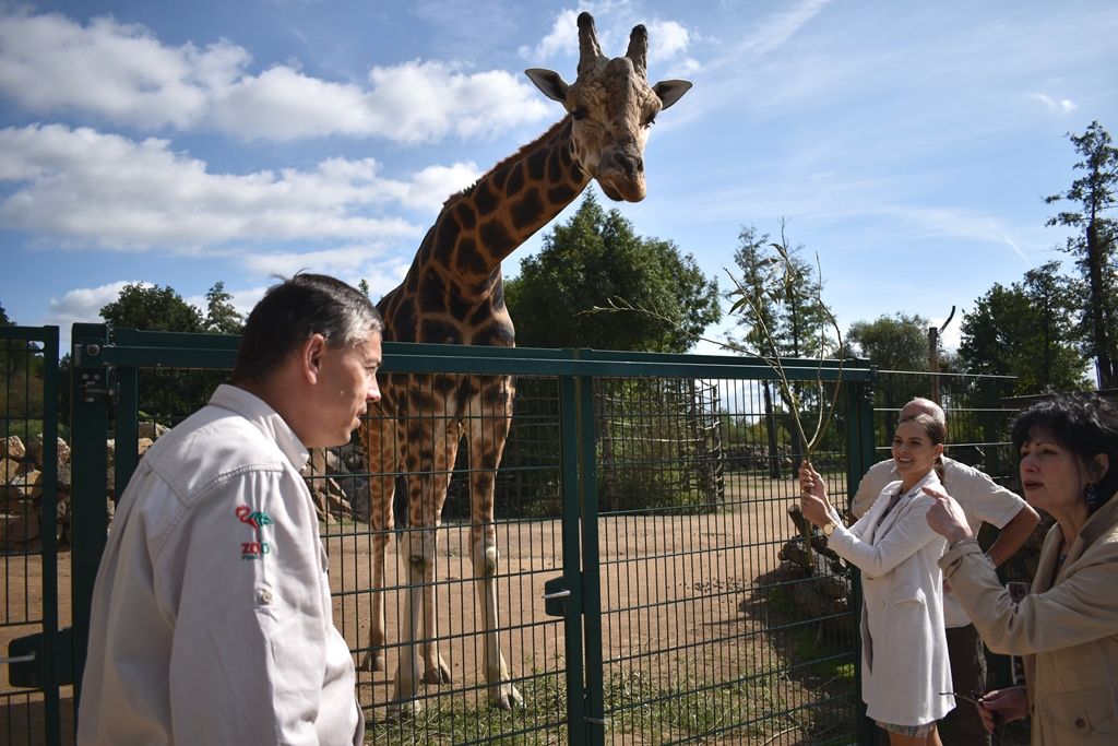 Křtiny velbloudice Aiko z plzeňské zoo(foto: A. Jarošová, 17.9.2019)