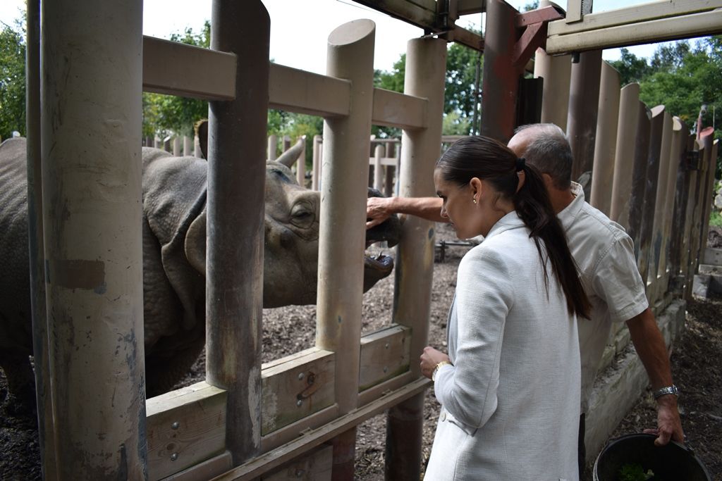 Křtiny velbloudice Aiko z plzeňské zoo(foto: A. Jarošová, 17.9.2019)