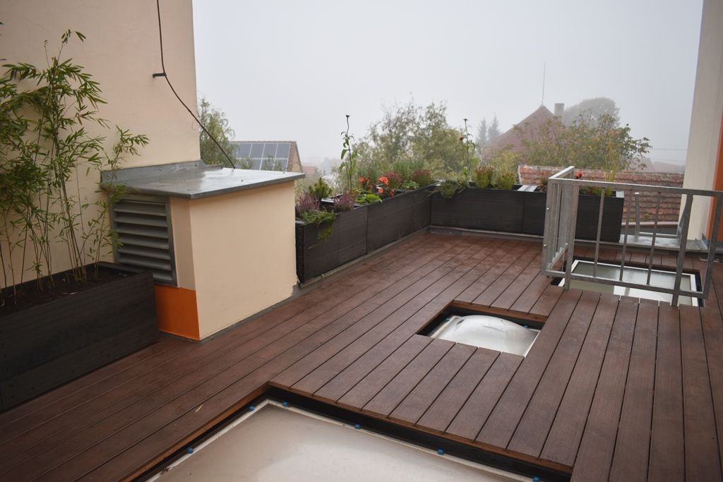 Tyršova ZŠ a MŠ v Plzni Černicích má zelenou střechu (foto: A. Jarošová, 21.10.2019)