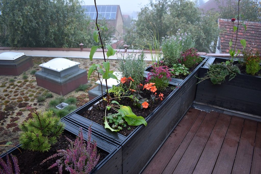 Tyršova ZŠ a MŠ v Plzni Černicích má zelenou střechu (foto: A. Jarošová, 21.10.2019)