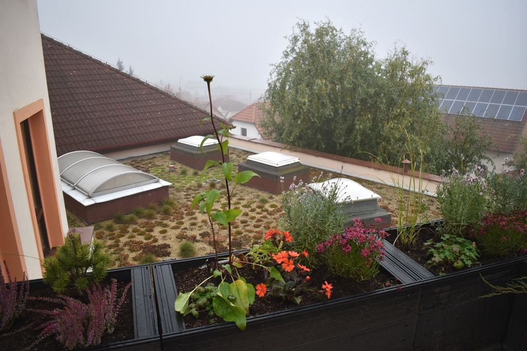 Tyršova ZŠ a MŠ v Plzni Černicích má zelenou střechu (foto: A. Jarošová, 21.10.2019)