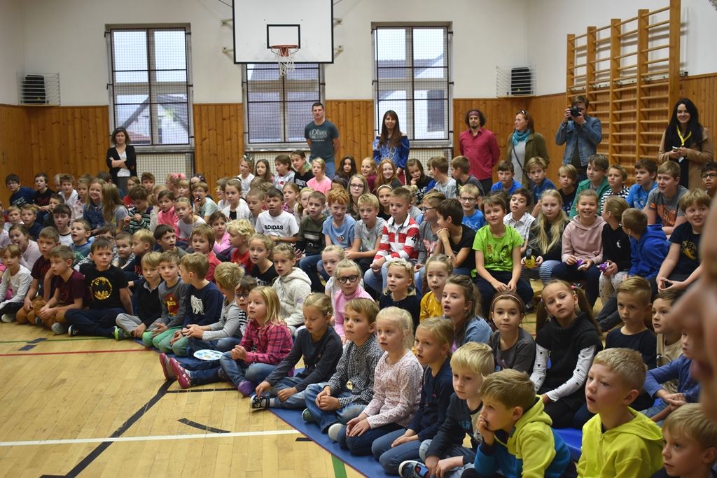 Tyršova ZŠ a MŠ v Plzni Černicích má zelenou střechu (foto: A. Jarošová, 21.10.2019)