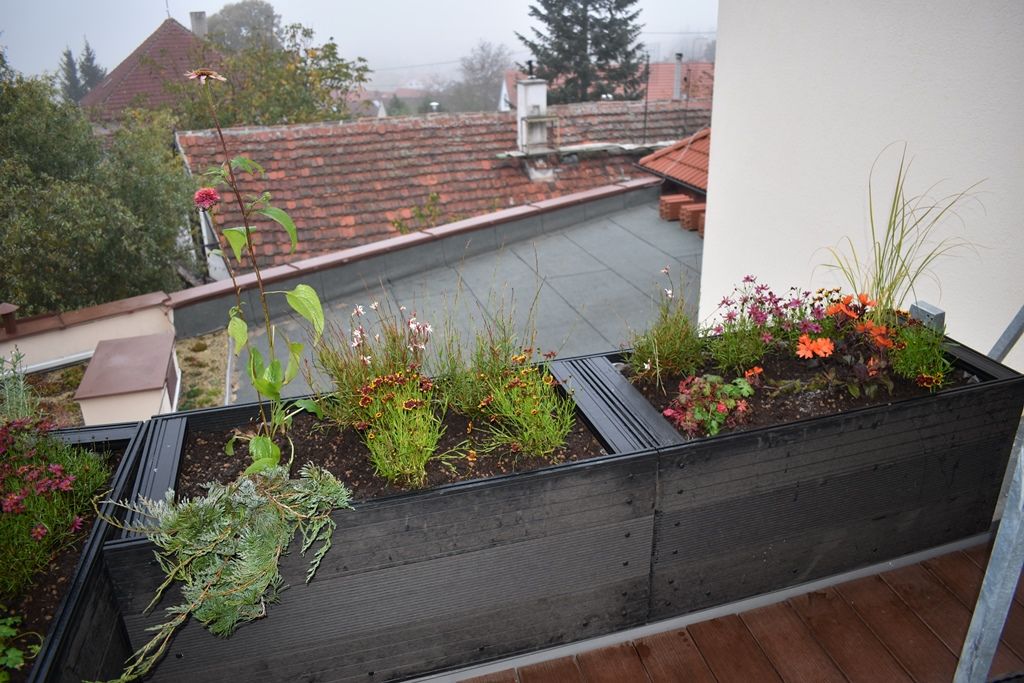 Tyršova ZŠ a MŠ v Plzni Černicích má zelenou střechu (foto: A. Jarošová, 21.10.2019)