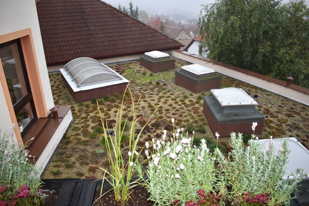 Tyršova ZŠ a MŠ v Plzni Černicích má zelenou střechu (foto: A. Jarošová, 21.10.2019)