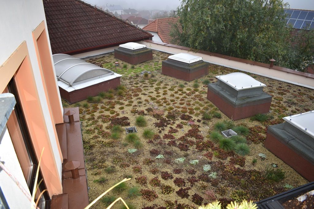 Tyršova ZŠ a MŠ v Plzni Černicích má zelenou střechu (foto: A. Jarošová, 21.10.2019)