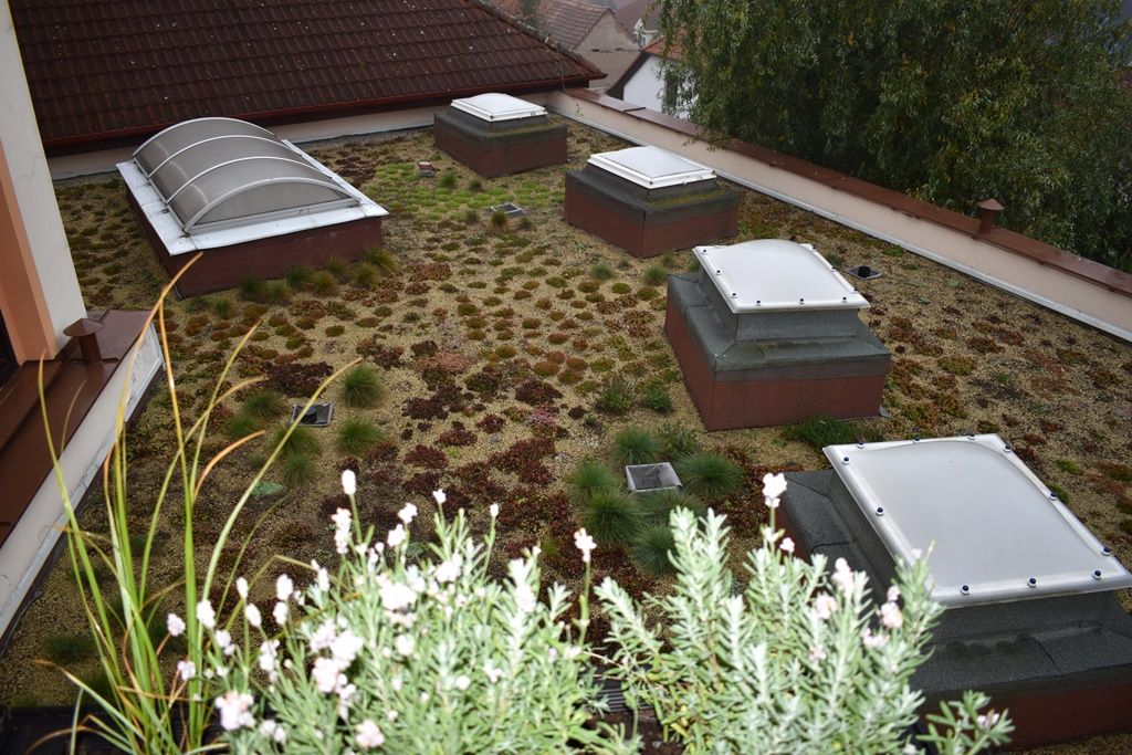 Tyršova ZŠ a MŠ v Plzni Černicích má zelenou střechu (foto: A. Jarošová, 21.10.2019)