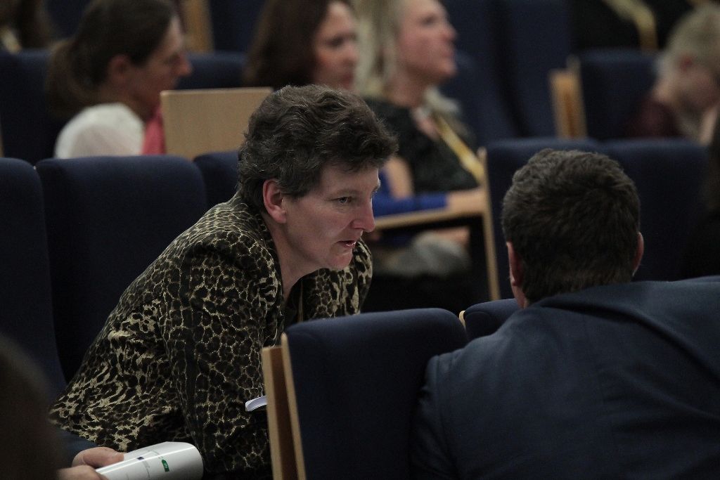 Zaostřeno na ITI - konference v Plzni (foto: P. Římalová, 29.10.2019)