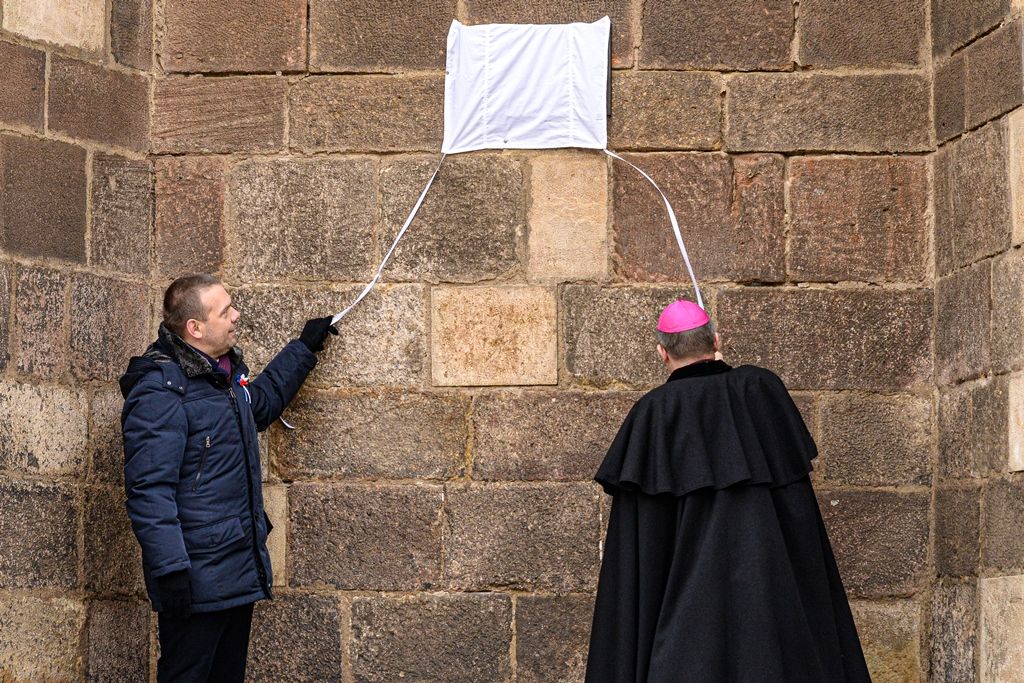 Plzeňské oslavy 30 let od sametové revoluce začaly vzpomínkovým setkáním u Lavičky Václava Havla v Šafaříkových sadech za účasti primátora města Martina Baxy, členů Rady města Plzně Michala Vozobule a Davida Šloufa, Mons. Tomáše Holuba, biskupa plzeňského a zástupců plzeňských městských obvodů. Po položení květin na Lavičku Václava Havla pokračoval program na Anglickém nábřeží, kde vznikla na celý nedělní den improvizovaná Plzeňská kavárna s pódiem. Zde zástupci města uctili památku položením věnce k pomníku obětem komunistického teroru a následovala společná modlitba za svobodu vedená biskupem plzeňským Tomášem Holubem. Té se zúčastnily na dvě stovky zájemců. Dopoledne také společně biskup Tomáš Holub a primátor Martin Baxa odhalili pamětní desku Josefu kardinálu Beranovi na katedrále sv. Bartoloměje za přítomnosti jeho rodiny. Vernisáží v mázhauzu radnice byla zahájena ojedinělá výstava Archivu města Plzně Sametová revoluce v Plzni rekonstruující sled událostí revolučních dní roku 1989 v Plzni s dosud nepub
