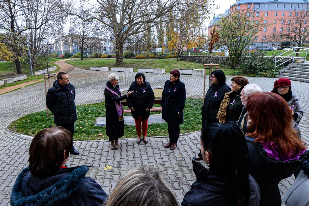 Radovánek zasadil druhou sakuru na dalších 100 let republiky (foto: M. Pecuch, 20.11.2019)