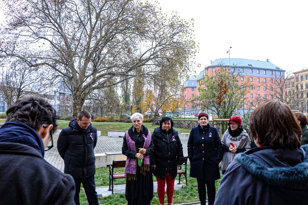 Radovánek zasadil druhou sakuru na dalších 100 let republiky (foto: M. Pecuch, 20.11.2019)