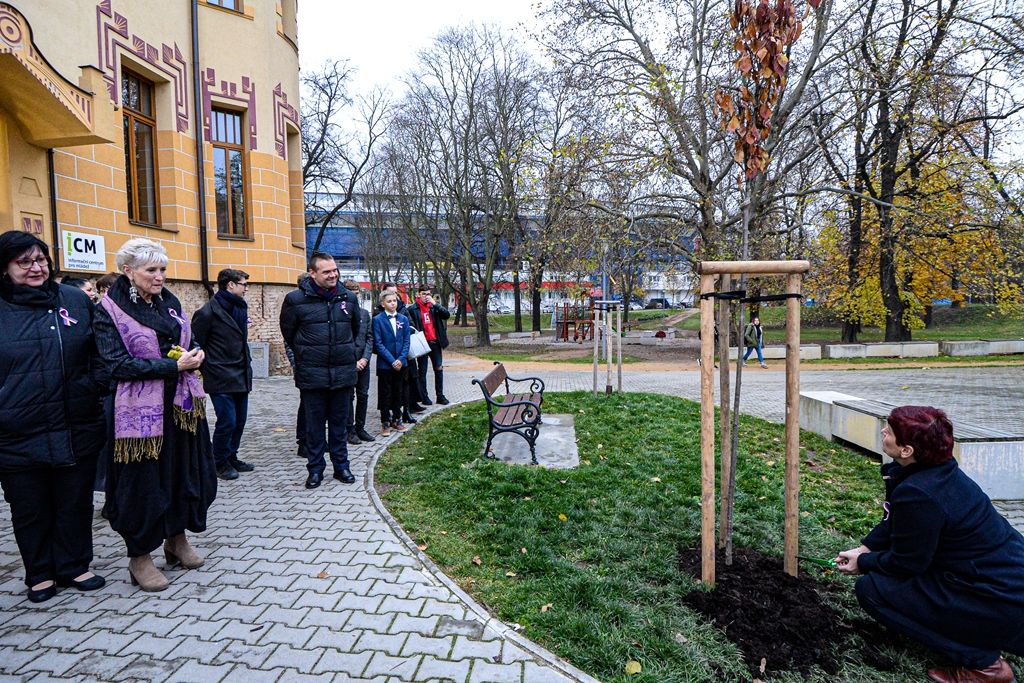 Radovánek zasadil druhou sakuru na dalších 100 let republiky (foto: M. Pecuch, 20.11.2019)