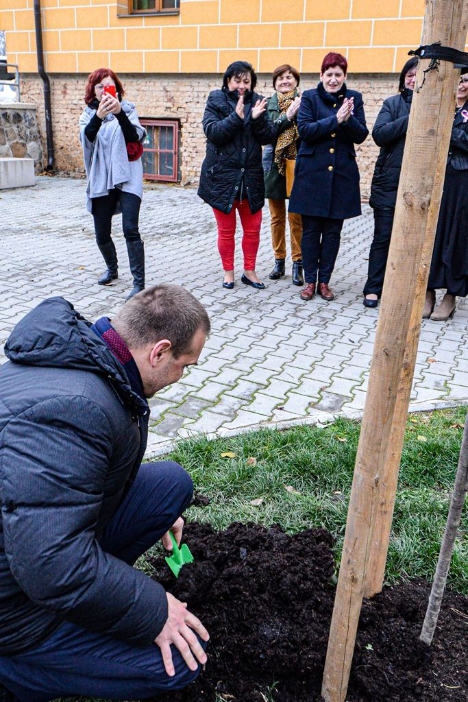 Radovánek zasadil druhou sakuru na dalších 100 let republiky (foto: M. Pecuch, 20.11.2019)