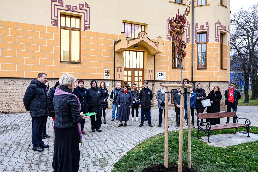 Radovánek zasadil druhou sakuru na dalších 100 let republiky (foto: M. Pecuch, 20.11.2019)