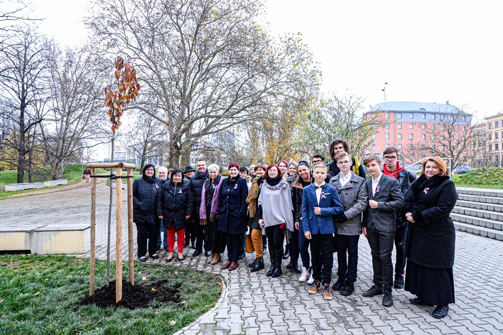 Radovánek zasadil druhou sakuru na dalších 100 let republiky (foto: M. Pecuch, 20.11.2019)