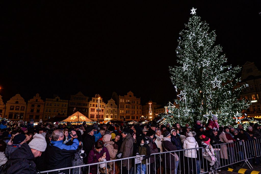 Plzeň rozsvítila svůj vánoční strom