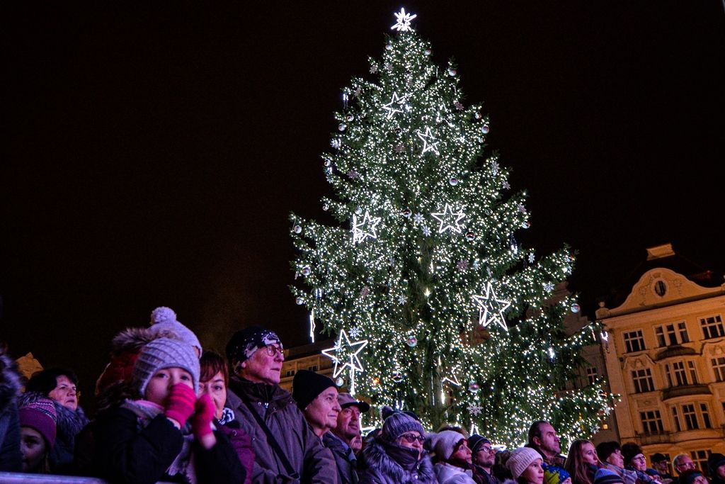 Plzeň rozsvítila svůj vánoční strom (foto: M. Pecuch, 1.12.2019)