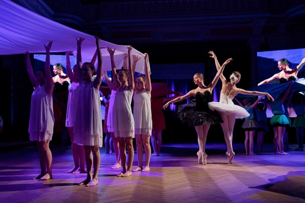 16. reprezentační ples města Plzně (foto: R. Muchka, 24.1.2020)