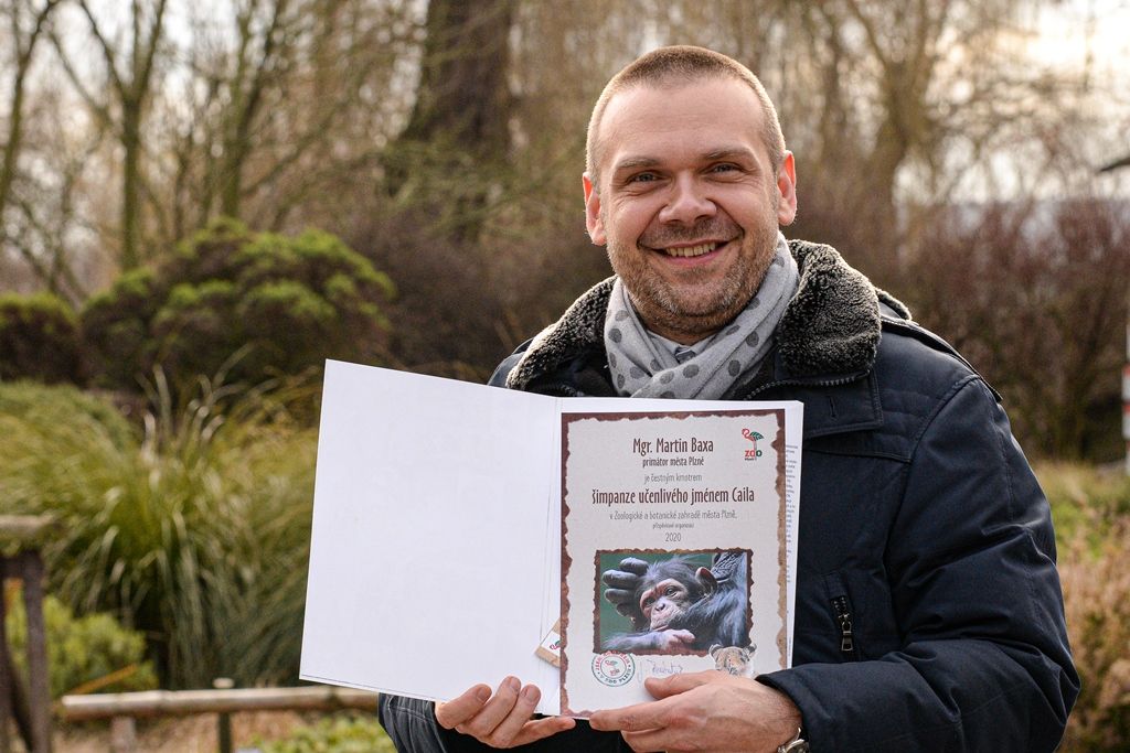 Novoroční samička šimpanze dostala jméno Caila (foto: M. Pecuch, 7.2.2020)