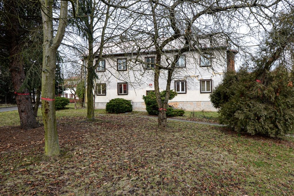 Lokalita Zátiší ve Skvrňanech - současný stav (foto: M. Pecuch, 7.2.2020)