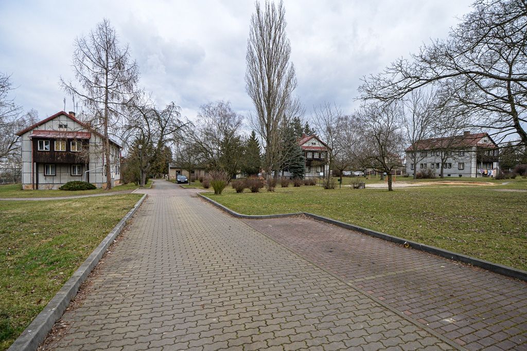 Lokalita Zátiší ve Skvrňanech - současný stav (foto: M. Pecuch, 7.2.2020)