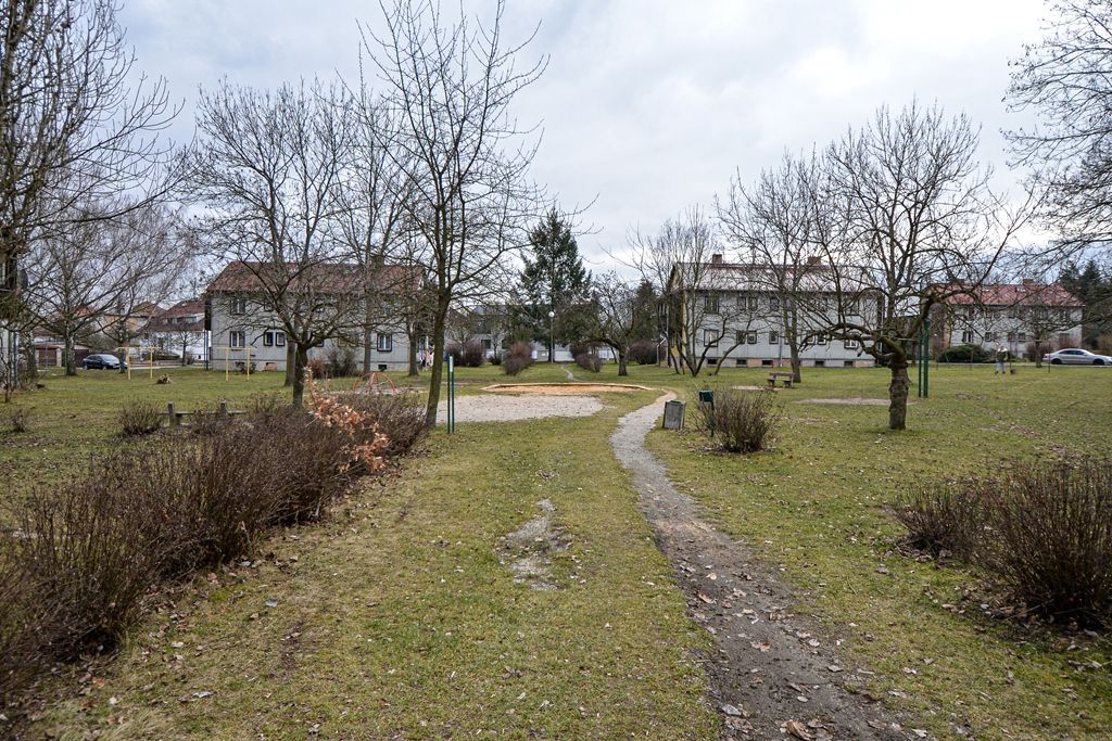 Lokalita Zátiší ve Skvrňanech - současný stav (foto: M. Pecuch, 7.2.2020)