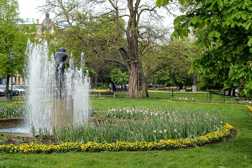 Květiny v městském sadovém okruhu (foto: M. Pecuch, 30.4.2020)