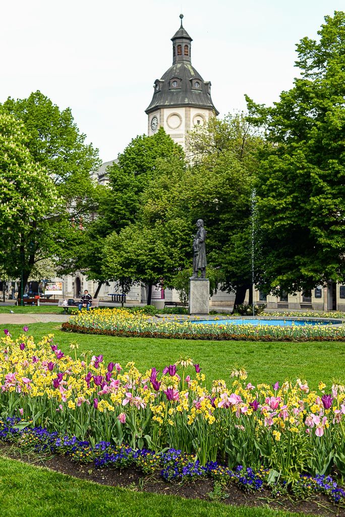 Květiny v městském sadovém okruhu (foto: M. Pecuch, 30.4.2020)