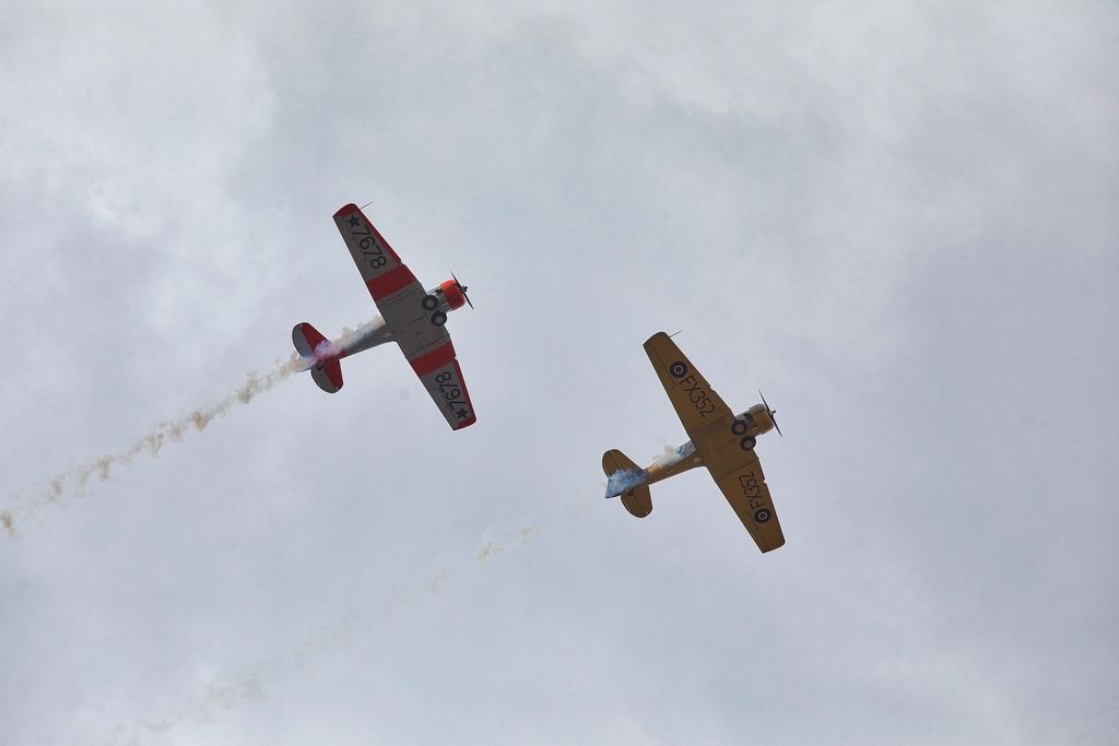 Slavnosti svobody 2020 (fotografie: R. Muchka, 3.5.2020)