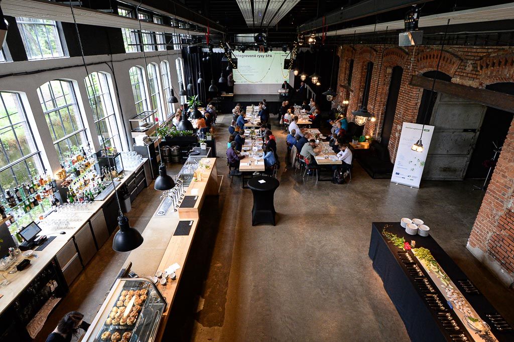 Kulaté stoly ITI ke Strategii Plzeňské aglomerace 2021+ (foto: M. Pecuch, 18.6.2020)