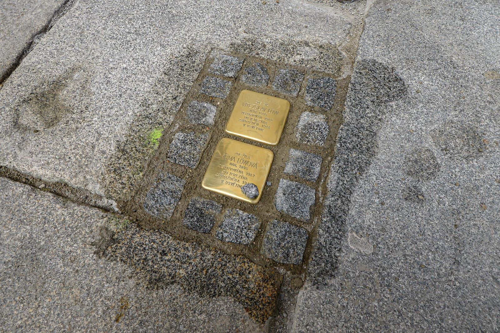 Plzeň pokládala kameny zmizelých - Stolpersteine  (foto: M. Pecuch, 4.9.2020)