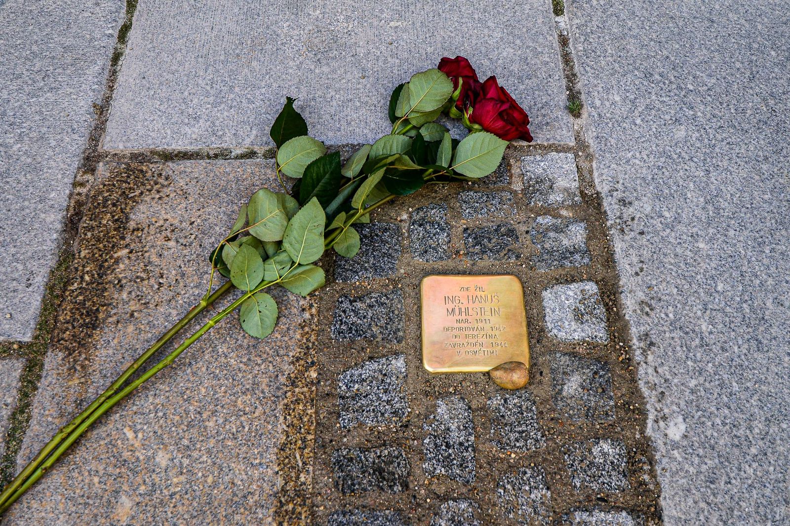 Plzeň pokládala kameny zmizelých - Stolpersteine  (foto: M. Pecuch, 4.9.2020)
