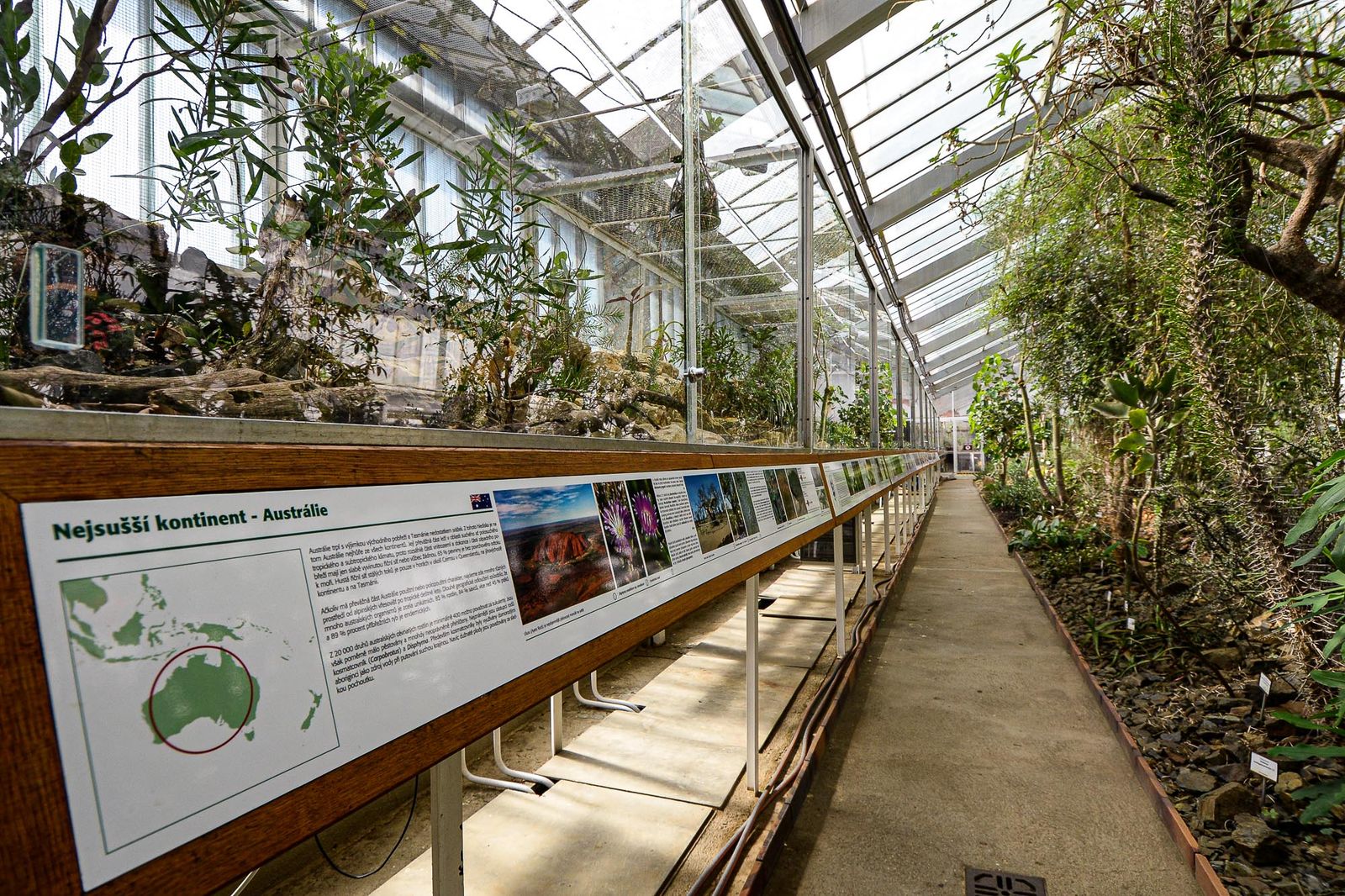 Zoo Plzeň otevřela novou botanickou expozici (foto: M. Pecuch, 4.9.2020)