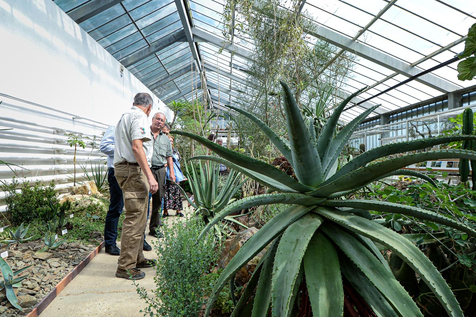 Zoo Plzeň otevřela novou botanickou expozici (foto: M. Pecuch, 4.9.2020)