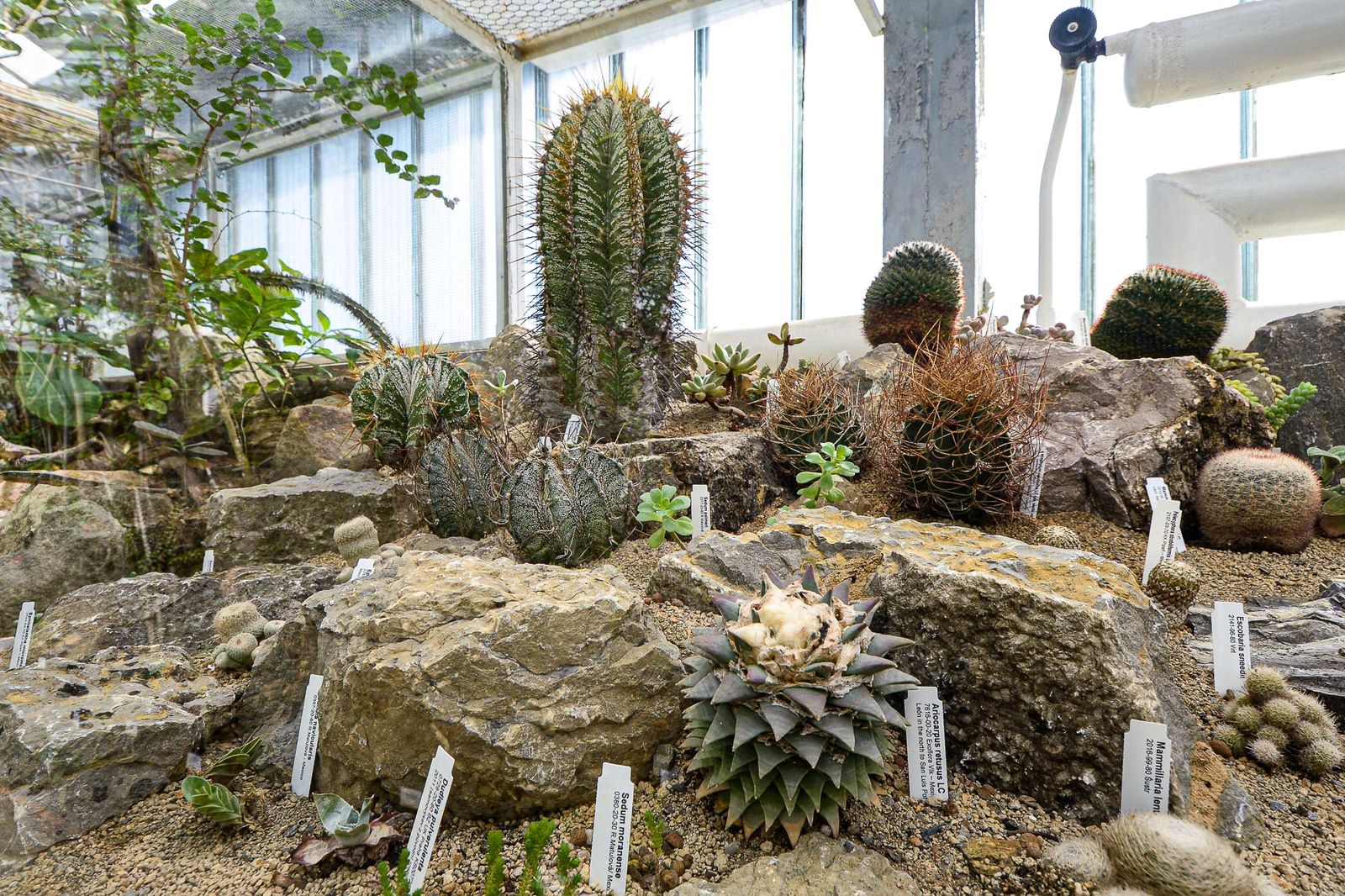 Zoo Plzeň otevřela novou botanickou expozici (foto: M. Pecuch, 4.9.2020)