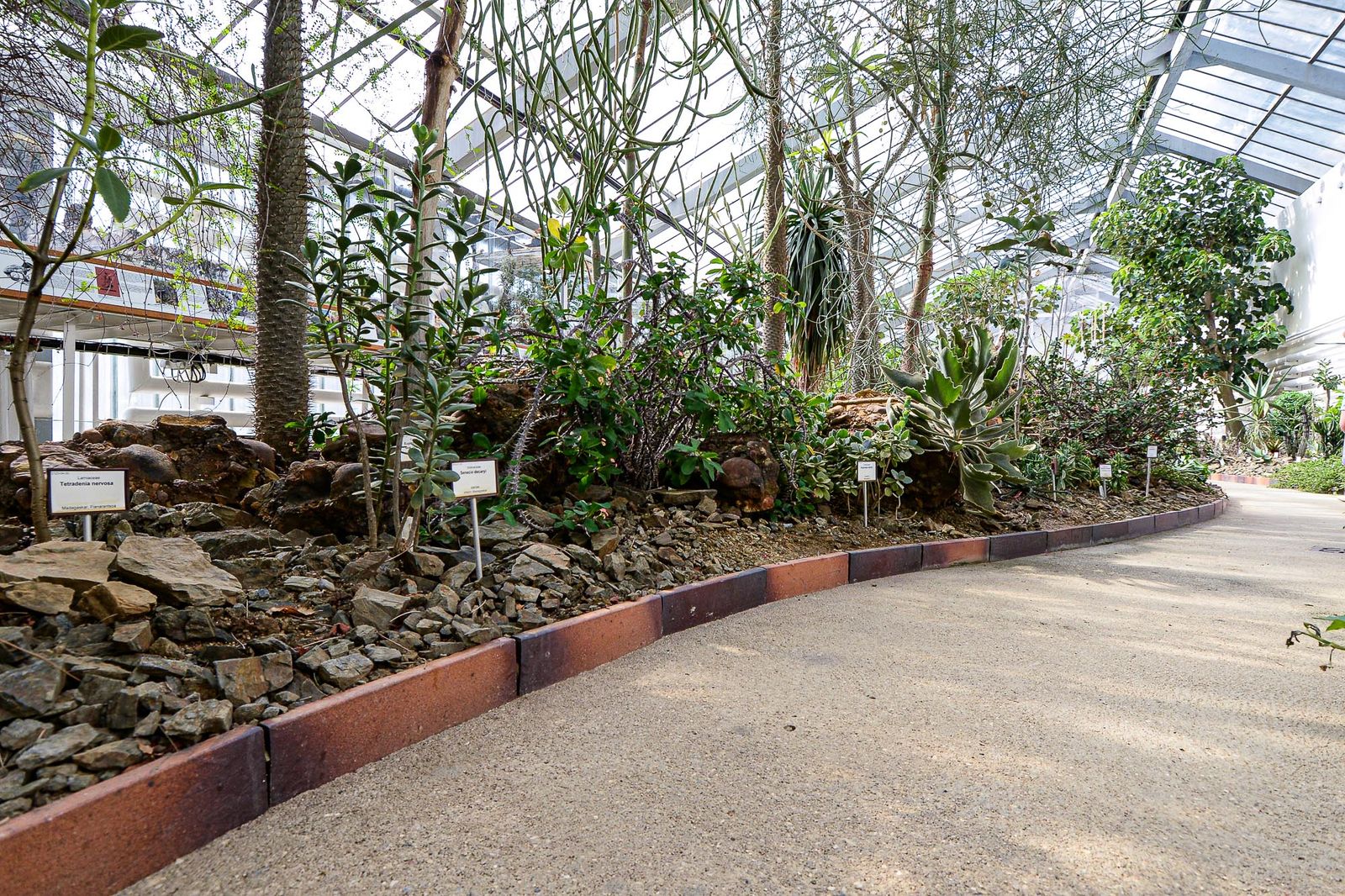 Zoo Plzeň otevřela novou botanickou expozici (foto: M. Pecuch, 4.9.2020)