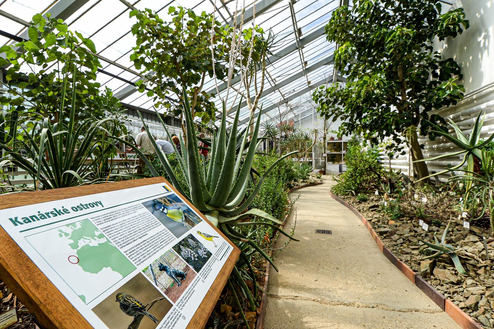 Zoo Plzeň otevřela novou botanickou expozici (foto: M. Pecuch, 4.9.2020)