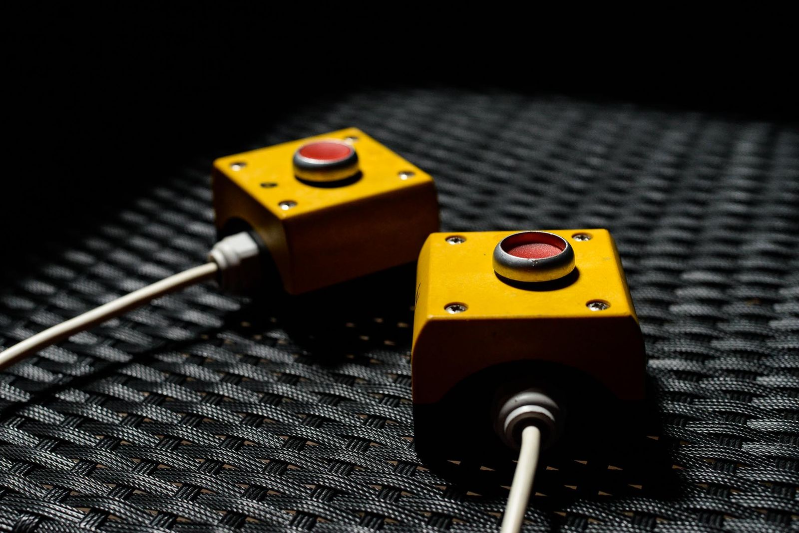 Rozsvícení vánočního stromu v Plzni (foto: M. Pecuch, 29.11.2020)