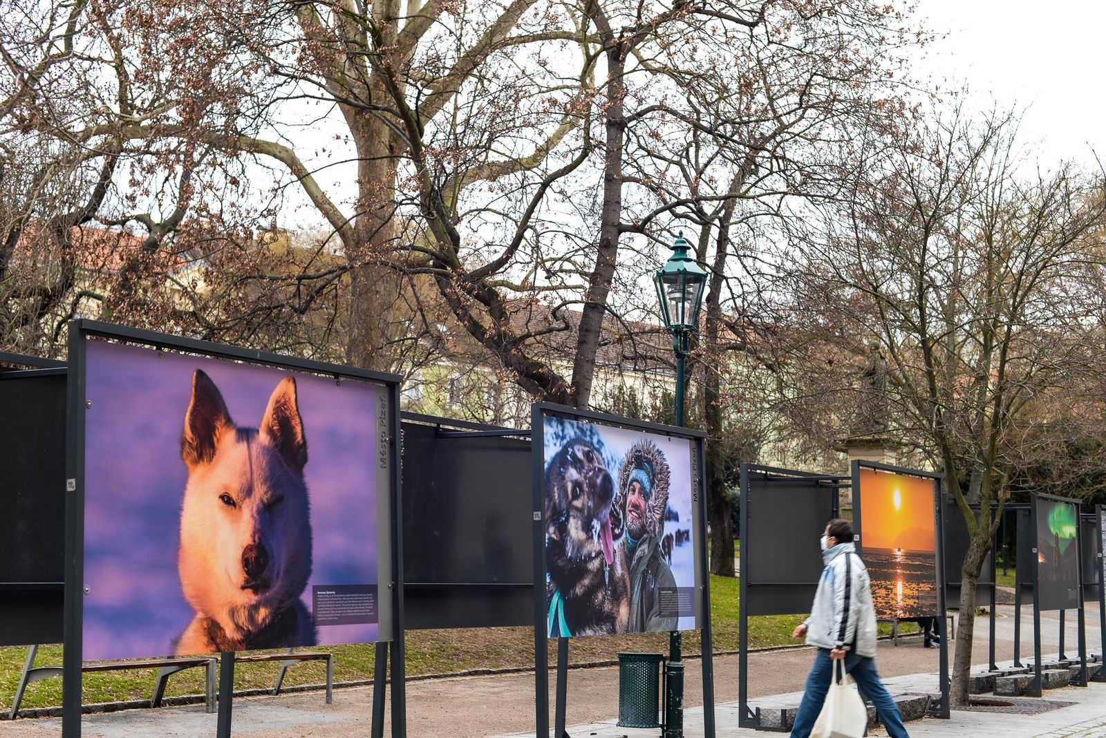 Výstava Zmrzlé světy (foto: M. Pecuch, 12.3.2021)
