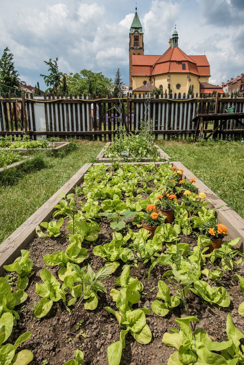 Víkend otevřených zahrad na Jiráskově náměstí (foto: M. Říský, 12.6.2021)